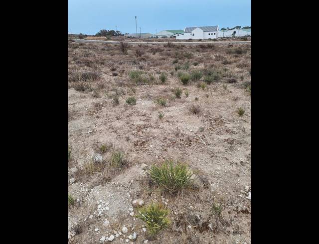 2 BEDROOM HOUSE FOR SALE IN ST HELENA VIEWS